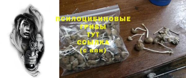 тгк Каменка