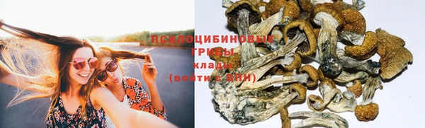 MESCALINE Инта