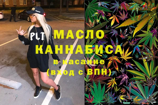 тгк Каменка