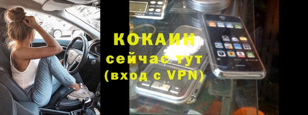 мет Инсар