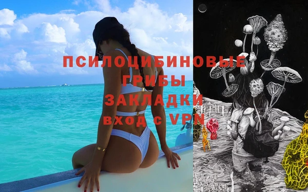 мет Инсар