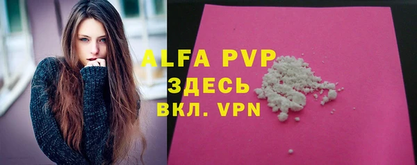 тгк Каменка