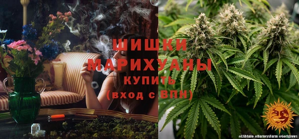 круглые Иннополис