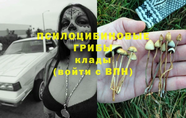 круглые Иннополис