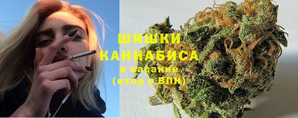 круглые Иннополис