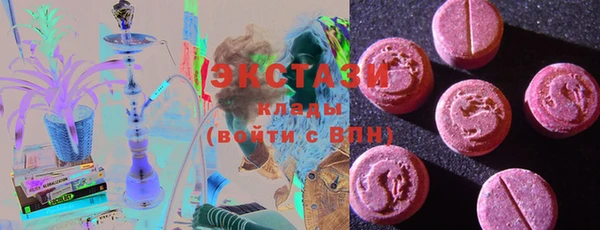 тгк Каменка