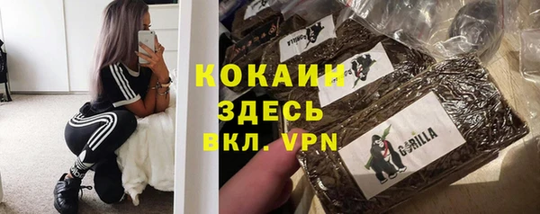 тгк Каменка