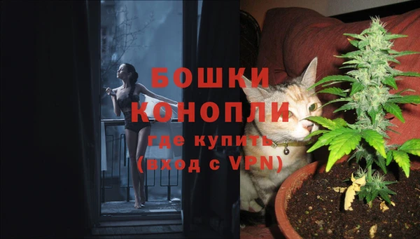 мет Инсар
