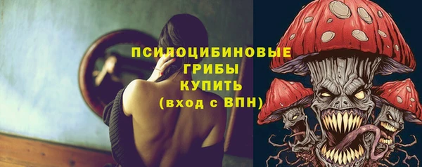 мет Инсар