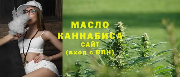 мет Инсар