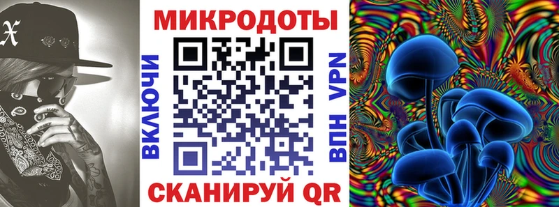 Галлюциногенные грибы Psilocybine cubensis  Купить закладки  Новый Уренгой 